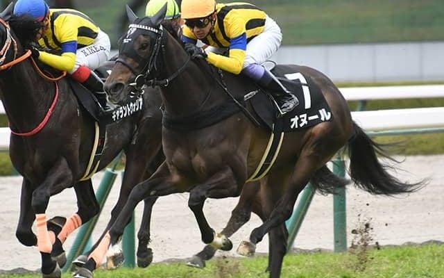 【ローズS想定】クールキャットはC.ルメール騎手、オヌールは川田将雅騎手