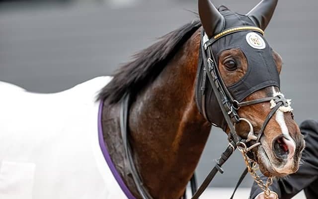 【セントライト記念想定】皐月賞2着馬タイトルホルダー、ホープフルS2着馬オーソクレースなど15頭