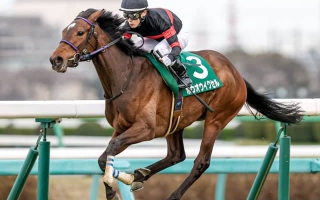 【紫苑S予想】去年1人気9着の凡走も該当していた…シンプルなデータで消せる人気の1頭/JRAレース展望 