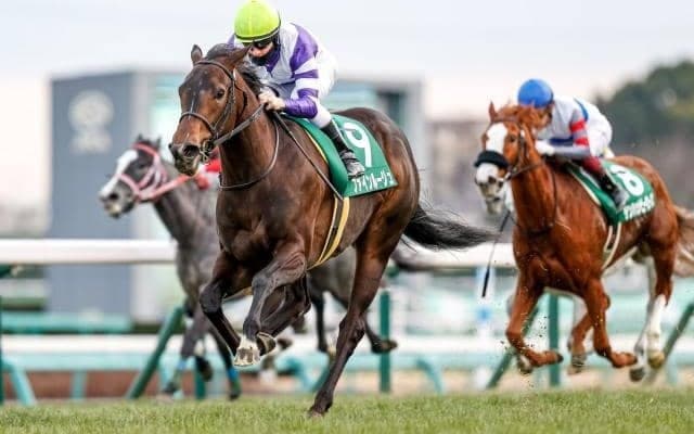 【本日の注目ポイント】中山・中京開催が開幕！秋華賞トライアル・紫苑Sなど