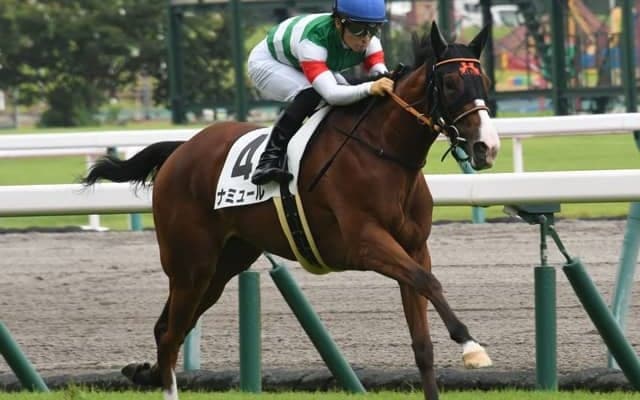 【中京4R新馬戦結果】ナミュールが2番手から押し切り快勝