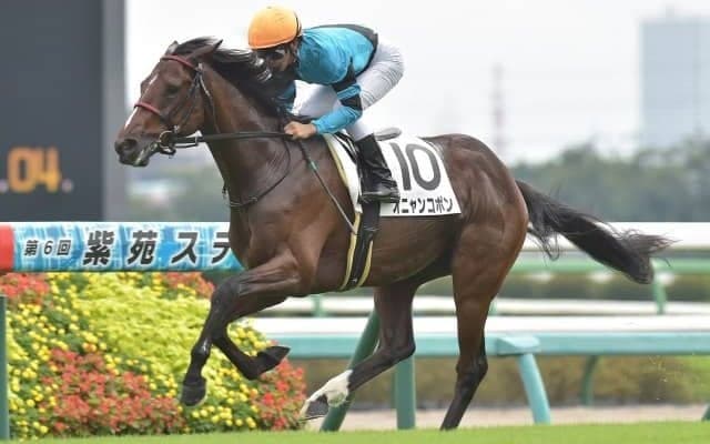 【中山5R新馬戦結果】6番人気のオニャンコポンが押し切ってデビュー勝ち