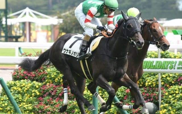【中京5R新馬戦結果】ドレフォン産駒ウナギノボリがゴール前で差し切る