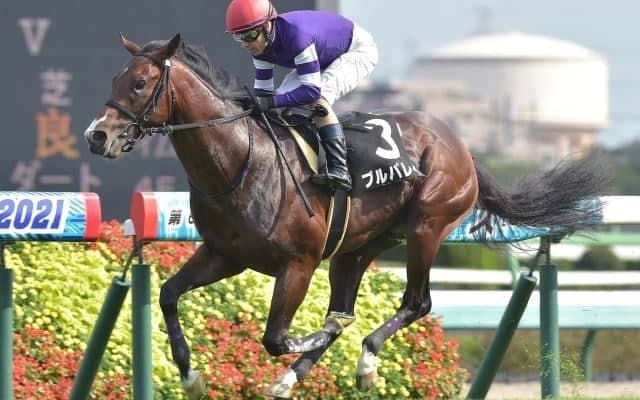 【アスター賞結果】プルパレイが人気に応えて逃げ切り連勝