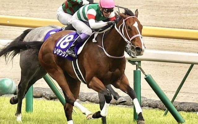 【セントウルS前日オッズ】レシステンシアが2.0倍で1番人気