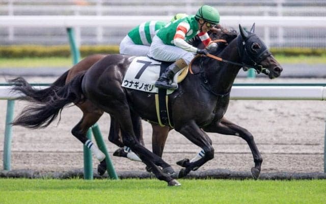 【新馬/中京5R】ドレフォン産駒 ウナギノボリがデビューV