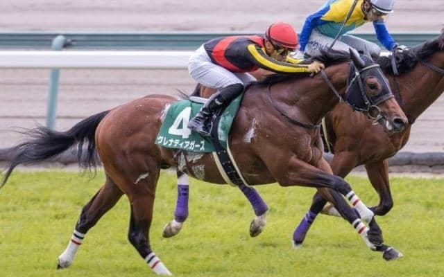 【京成杯AH予想】難解なサマーマイルシリーズの最終戦