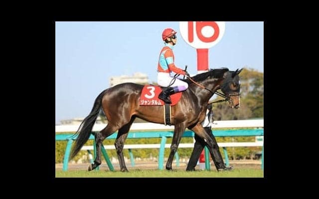 セントウルＳで狙うべき穴馬４頭。夏場も使われてきた西の馬か、条件合う東の馬か