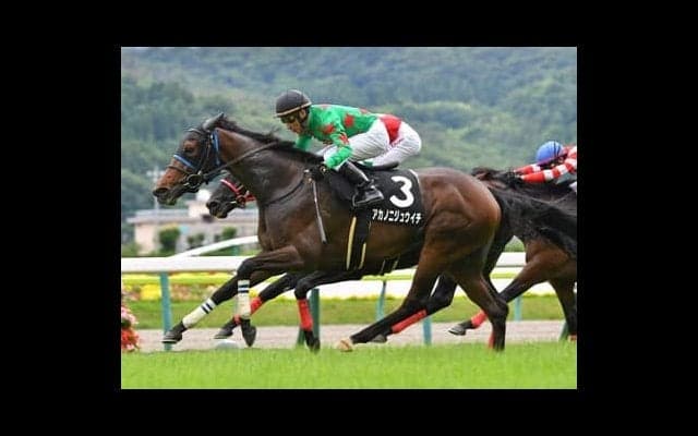 京成杯オータムＨは舞台得意の騎手に注目。鞍上の牝馬の激走が万馬券をもたらす