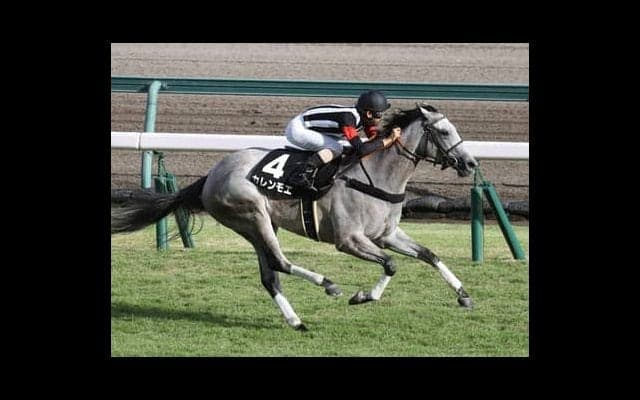 セントウルＳは名スプリンター候補２頭に期待。「中京芝1200ｍ」に相性ピッタリの血統で選ぶ