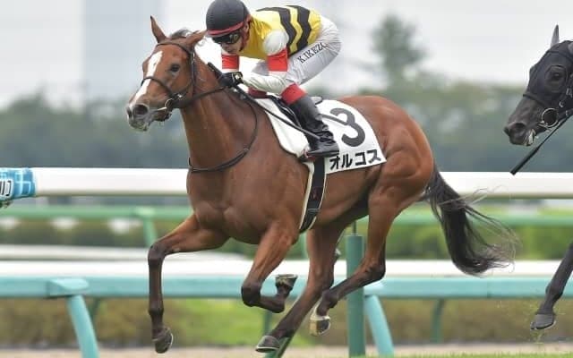【中山5R新馬戦結果】ドレフォン産駒オルコスが2番手から抜け出す