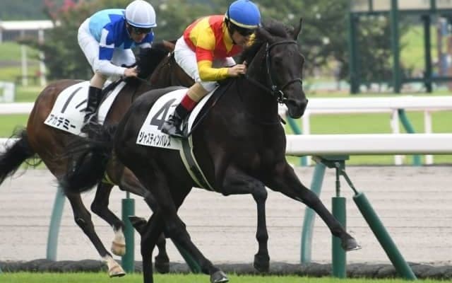 【中京5R新馬戦結果】高額馬ジャスティンパレスが押し切りデビュー勝ち