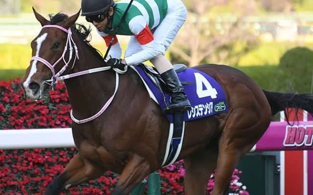 【セントウルS・馬体重】レシステンシアは508kg(+4)、カレンモエは470kg(+8)