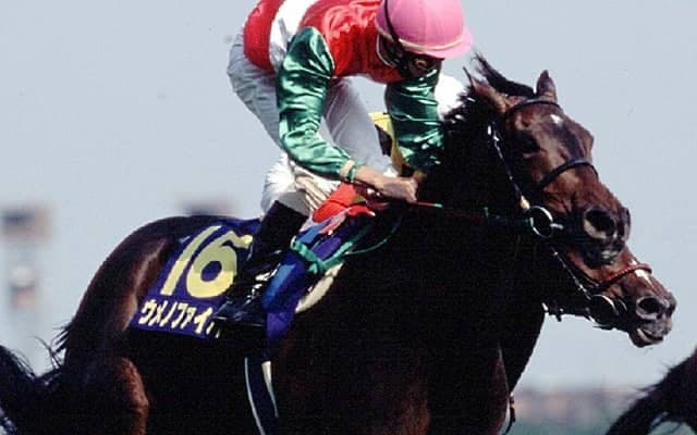 ウメノファイバーが死亡、25歳　1999年オークスを蛯名正義騎手の手綱で制覇