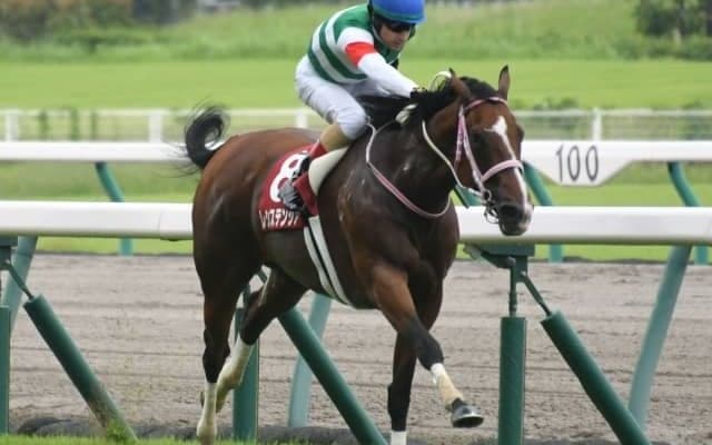 【セントウルS結果】レシステンシアが押し切って重賞4勝目！1200mでは初勝利