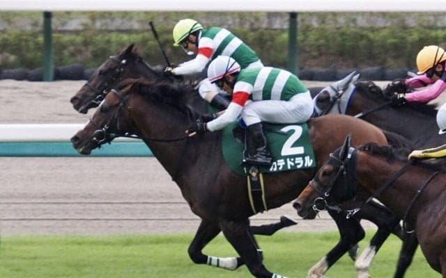 【京成杯AH】カテドラルが重賞初制覇