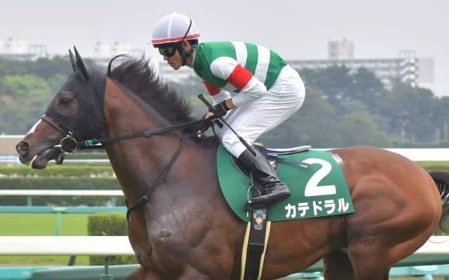 【勝負の分かれ目 京成杯AH】戸崎騎手の「決め打ち」でカテドラルが重賞初制覇