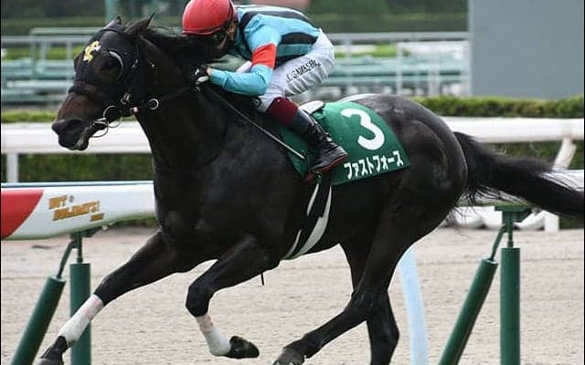 【JRA】ファストフォースがサマースプリント王者に！ CBC賞優勝、北九州記念2着