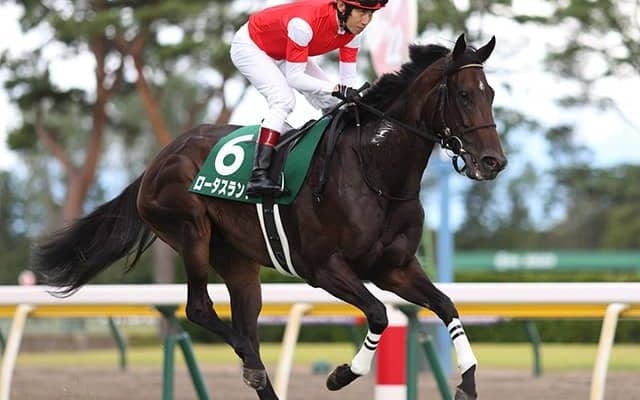【JRA】サマーマイル王者はロータスランド、辻野師「チャンピオンに相応しい走り」