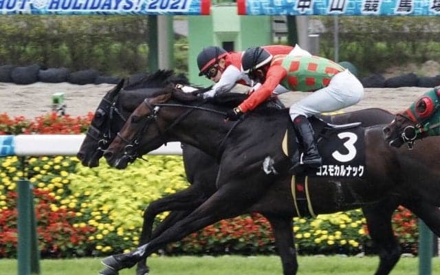 【セプテンバーS】13番人気 ショウナンバビアナが最内強襲