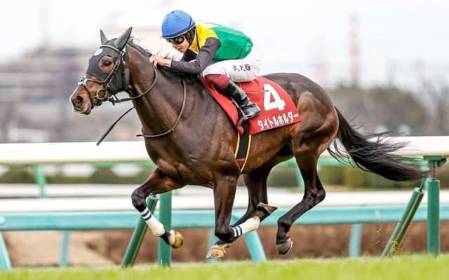 JRAは3日間開催 TRのローズSとセントライト記念に注目/今週の競馬界の見どころ