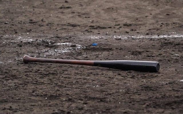 グラブとボールも運べるバットケース？　便利グッズ考案は野球少年のパパ社員