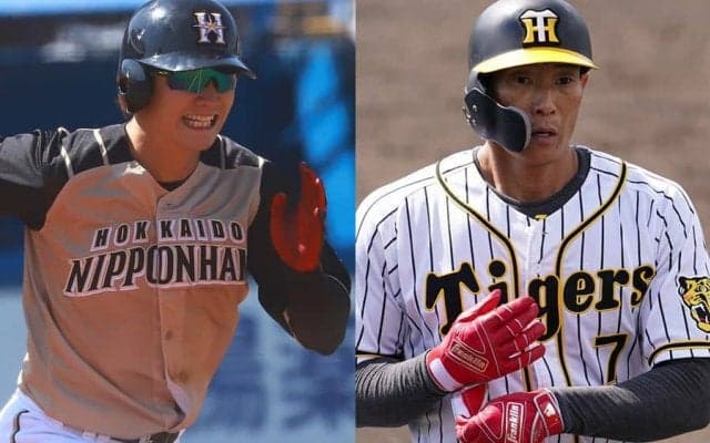 阪神・糸井＆日ハム・西川の通算300盗塁は“偉業”　2000安打＆300HRを上回る希少性