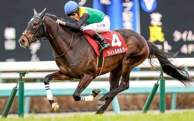 【セントライト記念見どころ】タイトルホルダーが重賞2勝目を狙う