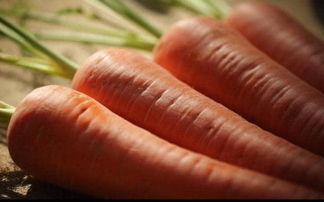 ヘーレンフェーンの選手が顎を骨折…原因はまさかのニンジンだった?!