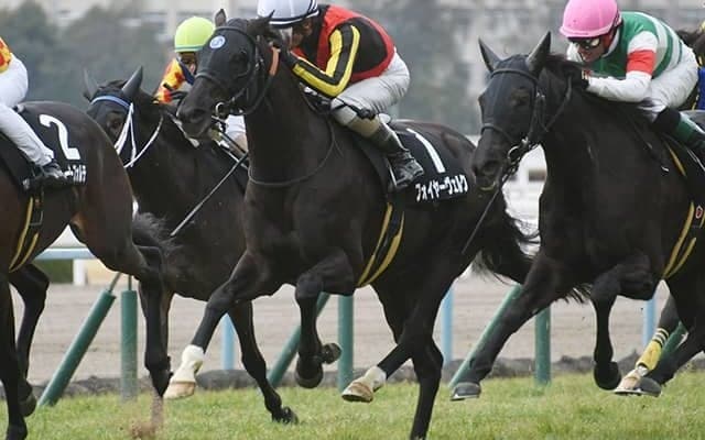 【阪神ジャンプS想定騎手】フォイヤーヴェルクは白浜雄造騎手、トゥルボーは石神深一騎手