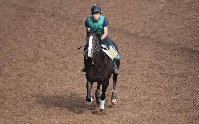 アリストテレス半弟ソクラテスがデビュー/関西馬メイクデビュー情報