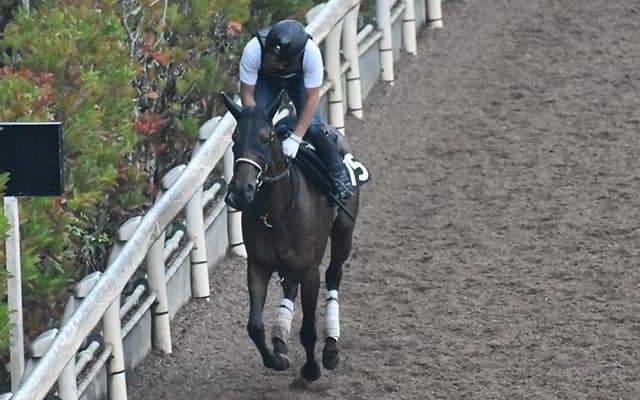 【ローズS想定騎手】アールドヴィーヴルは松山弘平騎手、クールキャットはC.ルメール騎手