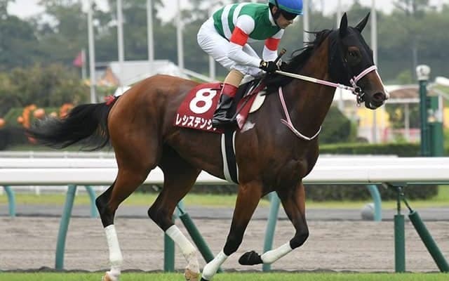 1200-1400mでは連対パーフェクト　父母の特長を受け継いでいるレシステンシア