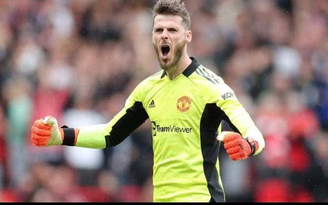 「初めてパパに会った」生後6カ月のデ・ヘアの娘ちゃんが父親の勇姿を真剣に見守る