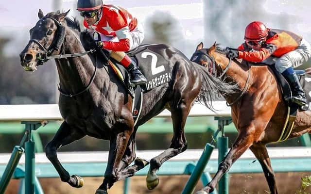 【セントライト記念】菊花賞の台風の目はこの馬 前哨戦でAIが弾き出した中穴ダークホース/JRA重賞レース展望
