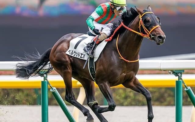 「産駒のコース適性は尋常ではない」セントライト記念の中山芝2200mに強い種牡馬は？