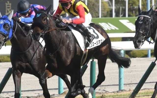 【ローズS展望】波乱が珍しくない秋華賞トライアル、あの穴馬に注目