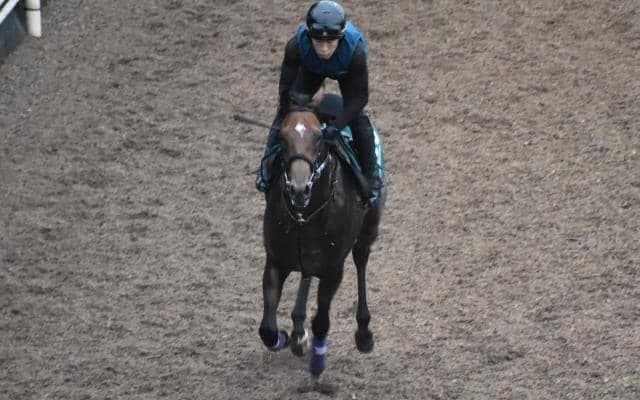 ダンテスヴューなど、先週の入厩情報/栗東トレセンニュース