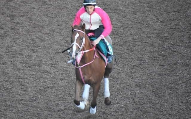 エイミーバローズなど、先週のゲート試験/栗東トレセンニュース