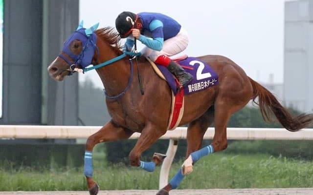 【名古屋・西日本ダービー結果】スマイルサルファーが抜け出して重賞2勝目、兵庫勢のワンツー