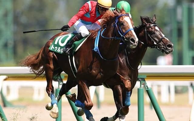 【阪神ジャンプS予想オッズ】フォイヤーヴェルクが予想1番人気、トゥルボーが続く