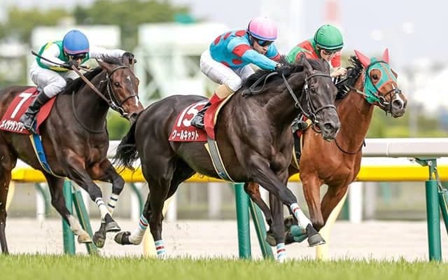 【ローズS予想オッズ】春のクラシックの無念を晴らせるか？ アールドヴィーヴルが予想1番人気