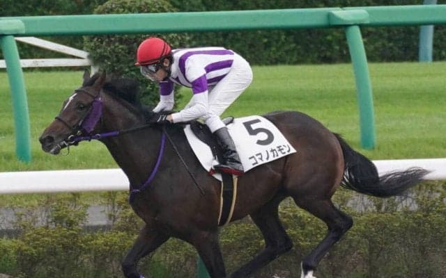 【新馬/中山3R】ルーラーシップ産駒 コマノカモンがデビューV