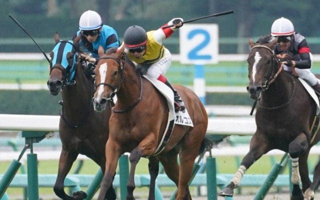 【新馬/中山5R】ドレフォン産駒 オルコスがデビューV