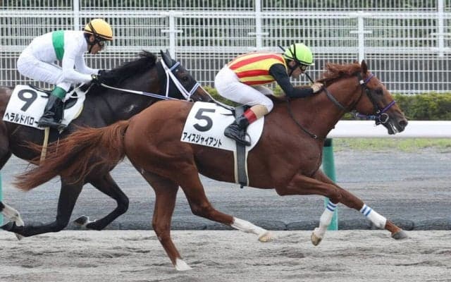 【新馬/中京3R】ダンカーク産駒 アイスジャイアントがデビューV