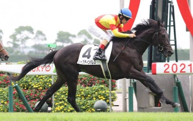 【新馬/中京5R】2億円ホース ジャスティンパレスがデビューV