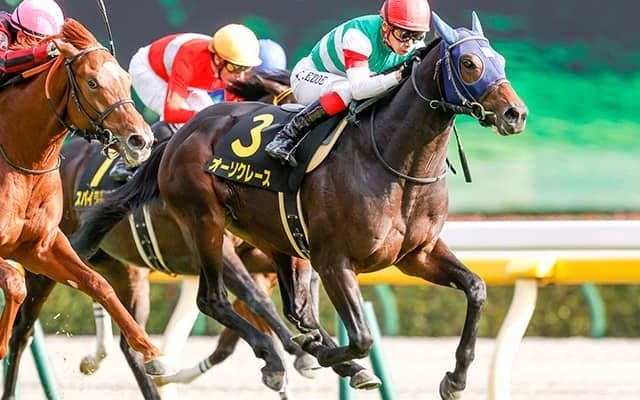 【セントライト記念予想オッズ】今年の弥生賞馬タイトルホルダーが単勝2.0倍で予想1番人気