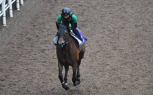 【日本テレビ盃】クリソベリルが9カ月ぶりに戦列復帰へ！