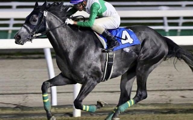 【門別競馬情報】「レバンガ北海道ティップオフナイター」のメイン12Rは好配当の期待も！ 2連勝狙うモンスタープリンス、伸び盛り3歳馬イッツソーラッドが中心も混戦模様「CRAZY レバンガ北海道特別」/地方競馬情報