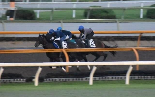 ヴァンドギャルド、毎日王冠追い切り速報/栗東トレセンニュース